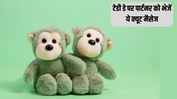 Happy Teddy Day 2024: पार्टनर को ये क्यूट और रोमांटिक मैसेज भेजकर दें टेडी डे की बधाई, खामोशी में ही हो जाएगा प्यार का इज़हार