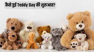 Teddy Day 2024 Date । Teddy Day History । Happy Teddy Day