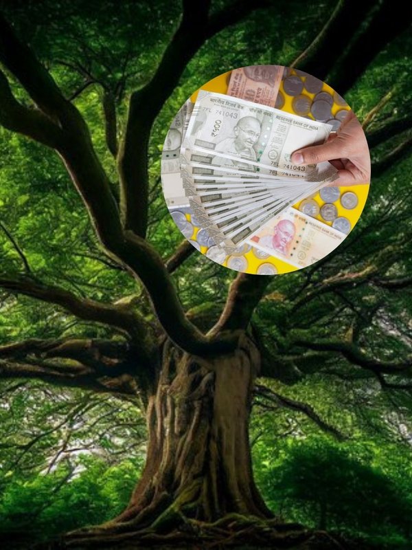 Haryana Government gives pension for trees under Pranavayu Devta Pension Scheme