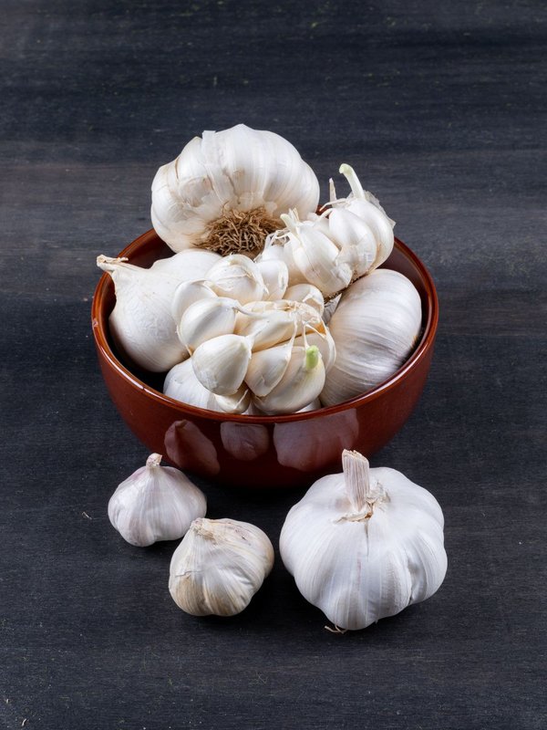 Egypt Garlic History