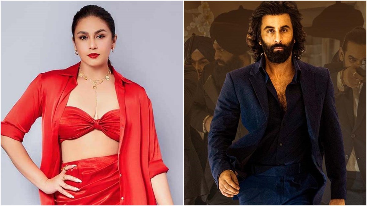 animal, huma animal, huma