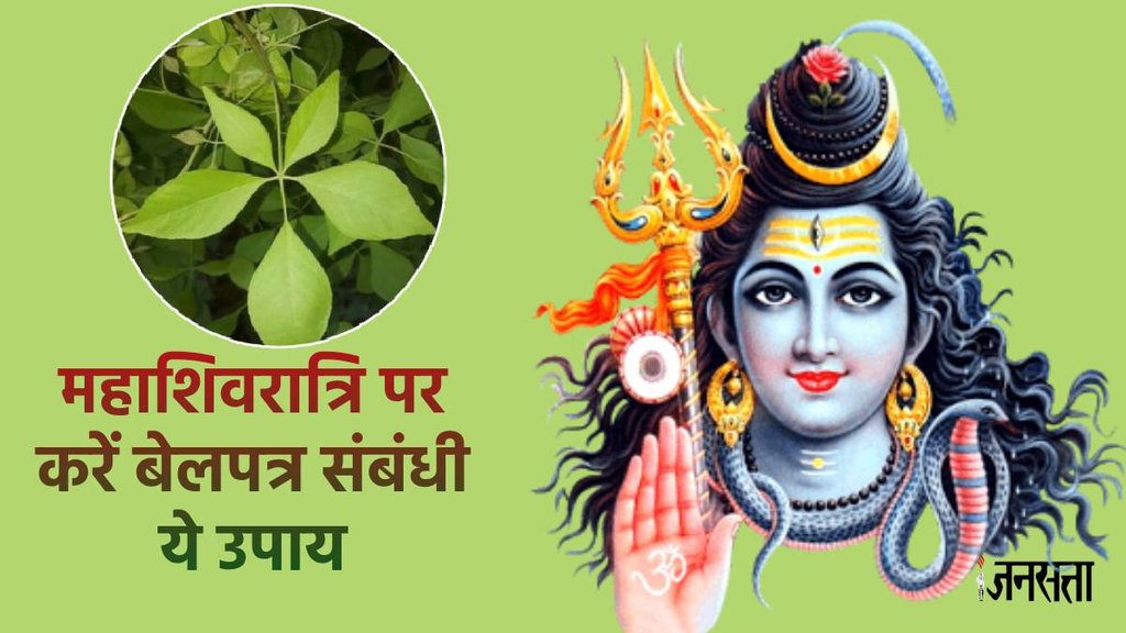 mahashivratri 2024 kab ki hai, mahashivratri 2024 mein, mahashivratri upay, mahashivratri belpatra,