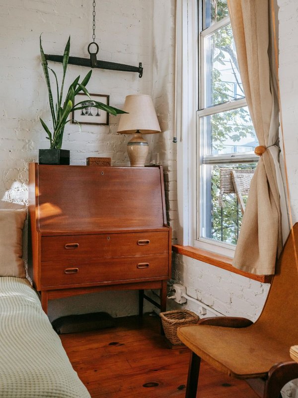 best plants for indoor home