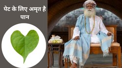 देवी को चढ़ाए जाने वाले पान के पत्ते को चाव से खाएं, पाचन बनेगा स्ट्रॉन्ग और पेट से निकलेंगे ज़हरीले पदार्थ, सदगुरु ने दिए नुस्खे