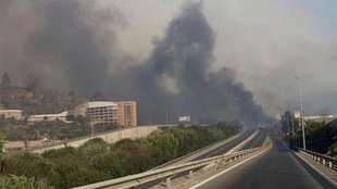 chile| chile fire| forest fire