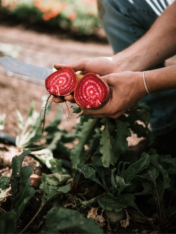 chukandar khane ke fayde