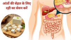 आंतों में परेशानी है और दूध से करते हैं परहेज़, बॉडी में हो सकती है प्रोटीन की कमी, इन 5 फूड्स को रोज़ खाये बॉडी को मिलेगा Protein और गट हेल्थ भी रहेगी दुरुस्त