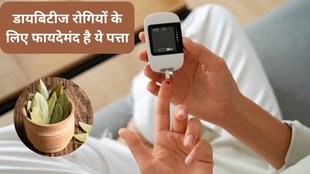 Diabetes । Tej Patta For Diabetes । Diabetes Diet