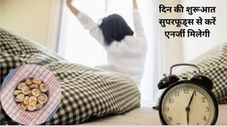 दिन की शुरुआत करें इन 4 फूड्स के साथ, कमजोरी थकान होगी दूर, गट हेल्थ भी रहेगी दुरुस्त