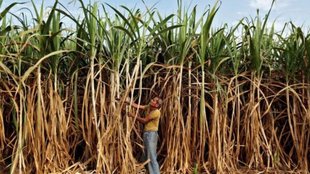 FARMERS PROTEST