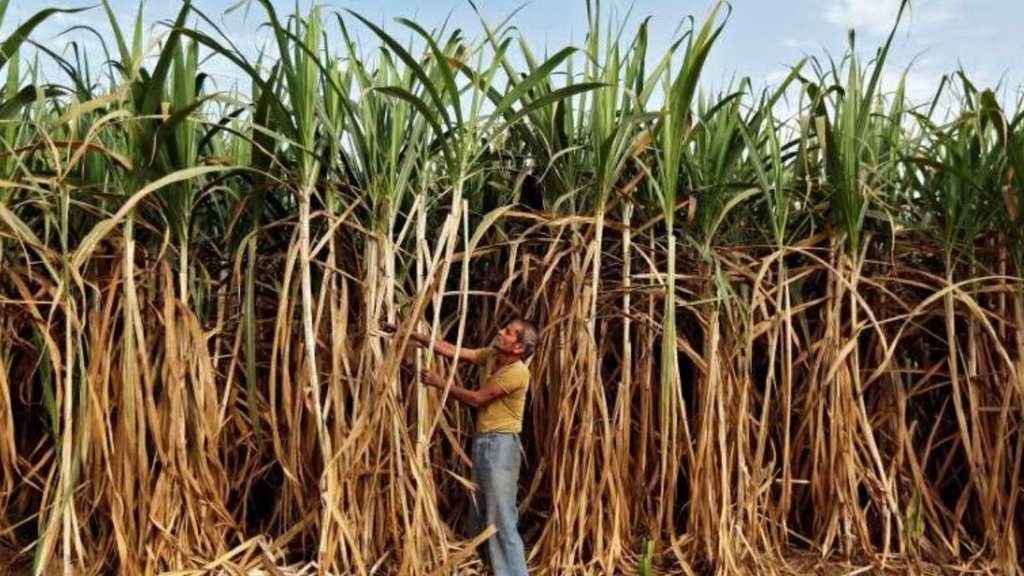 FARMERS PROTEST