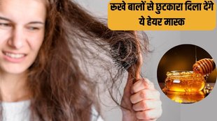 Homemade hair mask । dry Hair । damaged hairs । dandruff