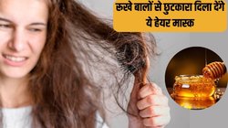 रूखे-डैमेज बाल और सिर में डैंड्रफ से परेशान हैं? घर पर बना लें एक्सपर्ट के बताए ये 3 हेयर मास्क, हफ्तेभर में दिखाएंगे असर