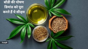 hemp seeds nutrition alert, hemp seeds health benefits, what are hemp seeds,भांग के बीज के सेहत के लिए फायदे,भांग के बीज का सेहत पर असर,भांग के बीज का सेहत पर कैसे असर करता है