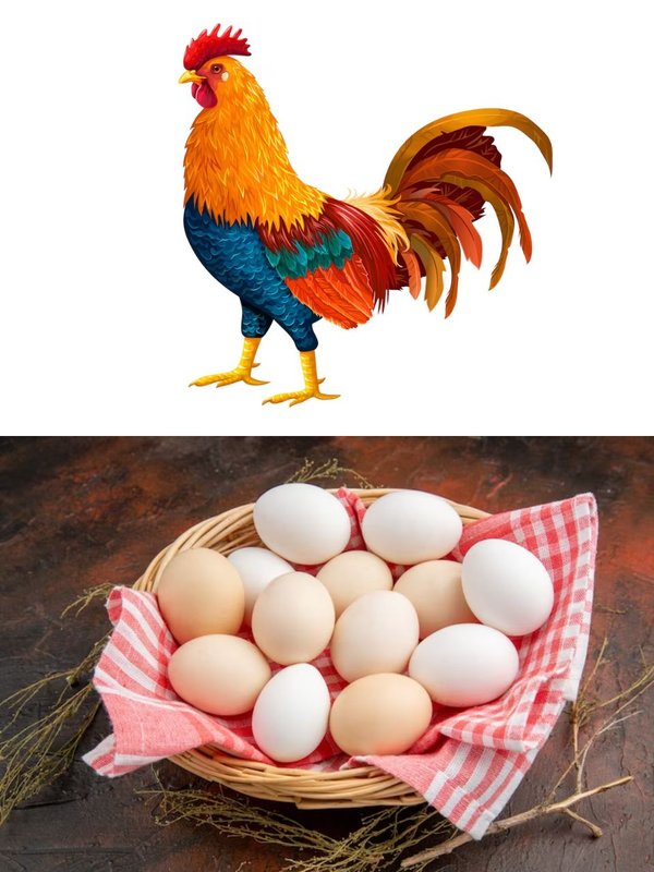 Viral । Viral News । Viral Questions