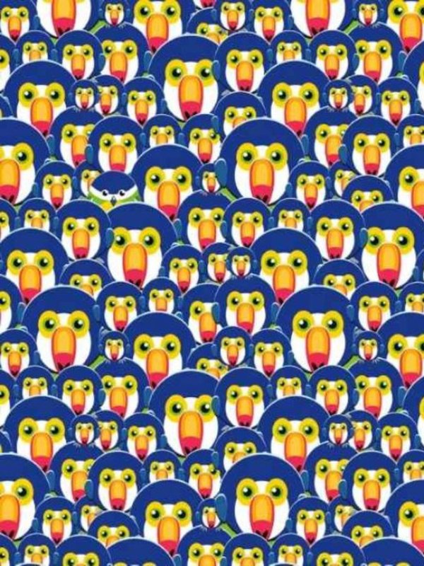 hidden optical illusions