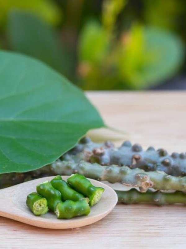 immunity booster giloy juice