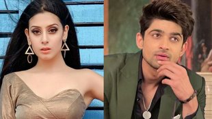 Isha Malviya, Abhishek Kumar, Bigg Boss 17