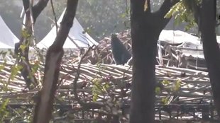 JLN stadium Collapse