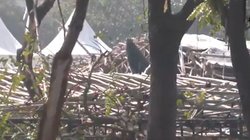 दिल्ली: JLN स्टेडियम में गेट नंबर दो के पास गिरा पंडाल, 25-30 मजदूर दबे, दमकल की गाड़ियां मौजूद