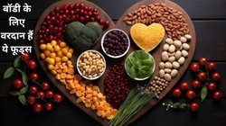 किचन में मौजूद इन 4 सुपरफूड्स का रोज़ करें सेवन, ब्रेन, हार्ट और स्किन से लेकर पेट तक की सेहत रहेगी दुरुस्त, जानिए कैसे करें सेवन