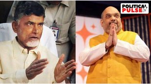 Chandrababu Naidu, bjp, tdp, Lok Sabha Election 2024, amit shah,