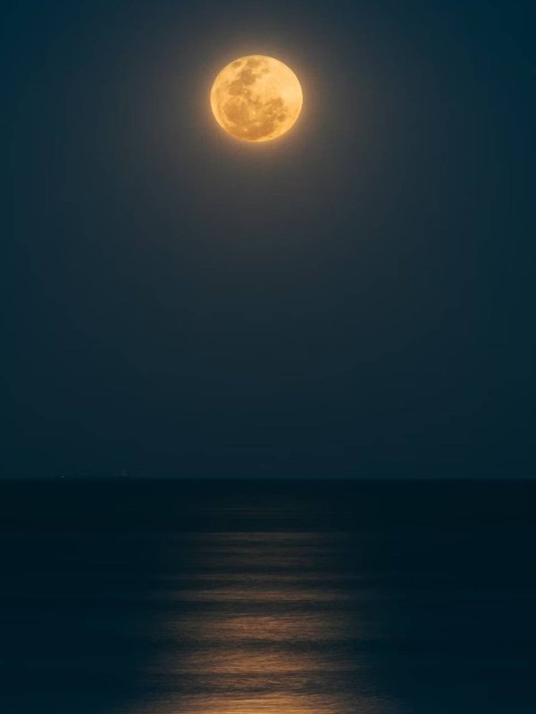 Magh Purnima ke upay bataye, how to get money on Purnima, Magh Purnima 2024, wealth prosperity jyotish upay,