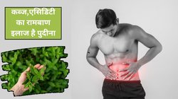 रोज़ाना पुदीने का सेवन करेंगे तो पेट की नेचुरल तरीके से हो जाएगी सफाई, पाचन की परेशानियां होंगी दूर, मिलेंगे 4 फायदे