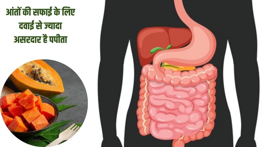 papaya nutrition value,पपीता खाने के फायदे, पपीता खाने का सही समय, पपीता खाने के नुकसान, पपीते के पोषक तत्व Can papaya cure constipation, Is flaxseed powder good for constipation