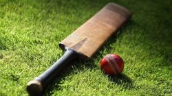 क्रिकेट मैच ने ले ली जान! जीत के बाद जश्न पड़ा भारी, विरोधी टीम के प्लेयर के सिर में मारा बैट