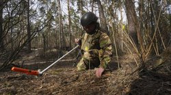 रूसी सेना ने 20 भारतीयों को किया कैद! भारत ने बताया क्या है रेस्क्यू प्लान