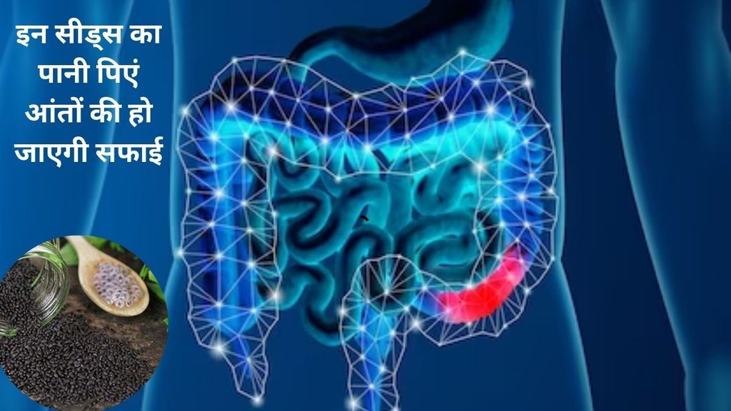 Constipation,constipation cure,constipation home remedies,constipation,acidity,indigestion cure, seeds for improve digestion, sabja seeds benefits, sabja seeds for female,