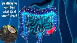 कब्ज़ से परेशान है, 3-4 दिन से पेट साफ नहीं हुआ, दिन में 2 बार इस सीड के पानी को पिएं, पेट और आंत की हो जाएगी सफाई