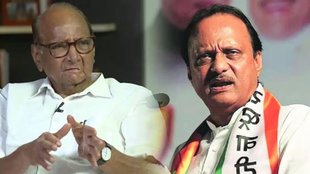 sharad pawar | ajit pawar | loksabha |