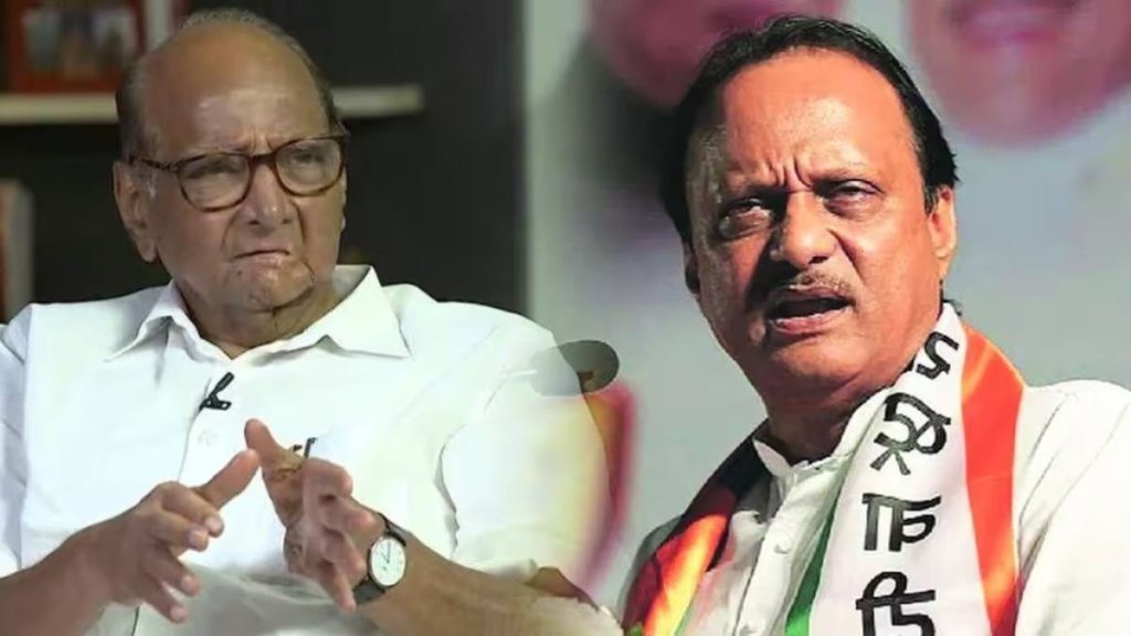 sharad pawar | ajit pawar | loksabha |