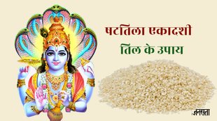 Shattila Ekadashi 2024, Shattila Ekadashi 2024 muhurat, Shattila Ekadashi 2024 til ka daan,