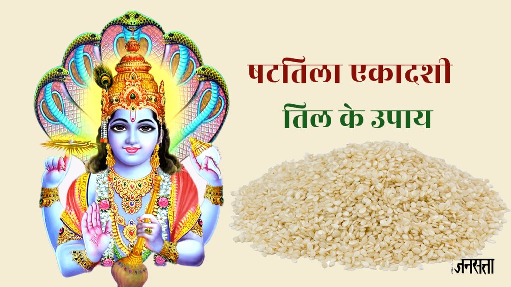 Shattila Ekadashi 2024, Shattila Ekadashi 2024 muhurat, Shattila Ekadashi 2024 til ka daan,
