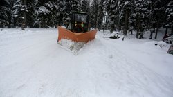 हिमाचल: यूं ही नहीं कुत्तों को कहा जाता वफादार! बर्फ में दबा था मालिक का शव, 48 घंटों तक करता रहा निगरानी