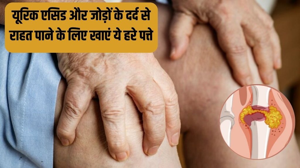 Uric Acid । Uric Acid Treatment । Uric Acid Remedy