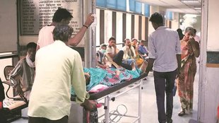 Chikungunya, Mosquito, Disease, Health Threat