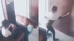 VIDEO: कमरे में मोबाइल पर गेम खेल रहा था बच्चा, तभी अंदर घुसा तेंदुआ, फिर जो हुआ…