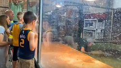 मगरमच्छ को खाना खिला रही महिला की जान पर बन आई, युवक की जिंदादिली ने जीता लोगों का दिल; देखें Video