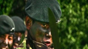 Denmark women in army