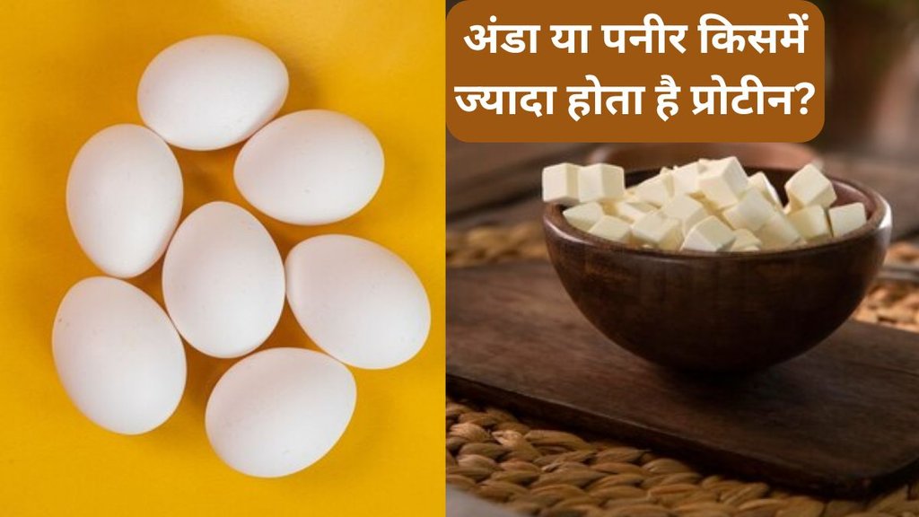 Egg VS Paneer । Protein Diet । protein powerhouse