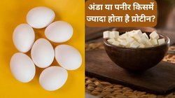 Egg VS Paneer: अंडा या पनीर, किसे खाने से ज्यादा मिलता है प्रोटीन? पोषक तत्वों के मामले में कौन है आगे, यहां जानें