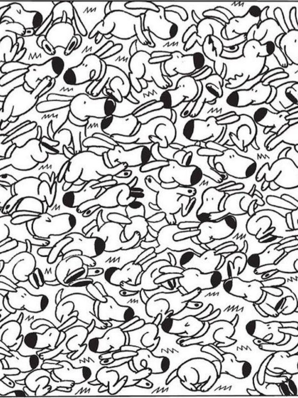 optical illusion puzzle