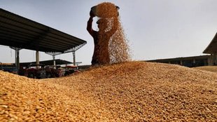 Foodgrains storage Capacity