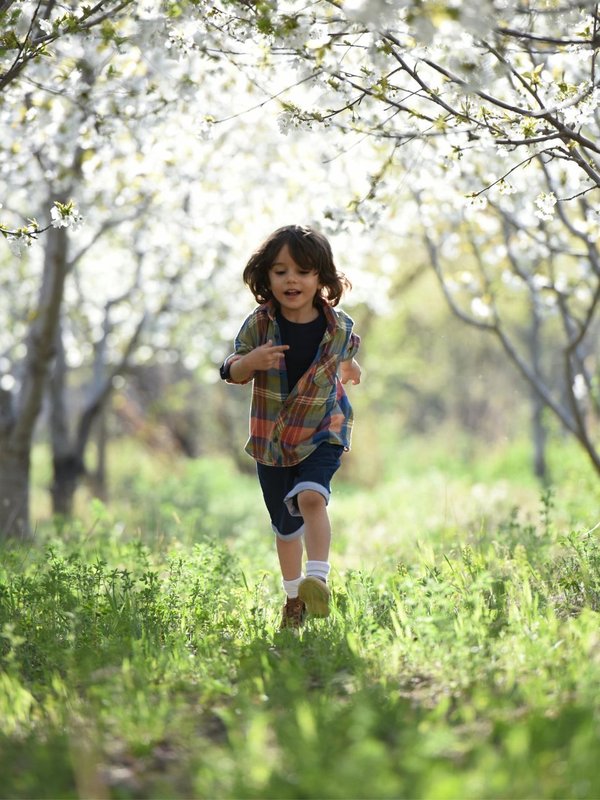 Foods For kids to Boost Memory