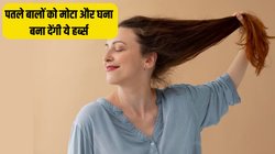 Hair Thinning Remedy: पतले बालों से दिखने लगी है स्कैल्प? बालों को नेचुरली घना और मजबूत बना देगीं ये 4 हर्ब्स, एक्सपर्ट ने बताया कैसे हैं फायदेमंद