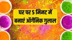 Holi 2024 Organic Colors: इस होली केमिकल वाले रंगों से बनाएं दूरी, घर पर 5 मिनट में तैयार करें ऑर्गेनिक रंग और गुलाल, स्किन पर आ जाएगा निखार